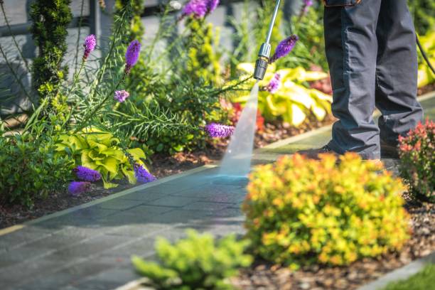 Best Parking Lot and Garage Cleaning  in Pembroke, GA