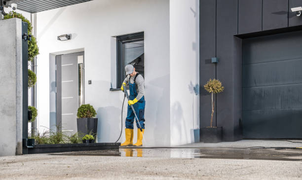 Best Graffiti Removal  in Pembroke, GA